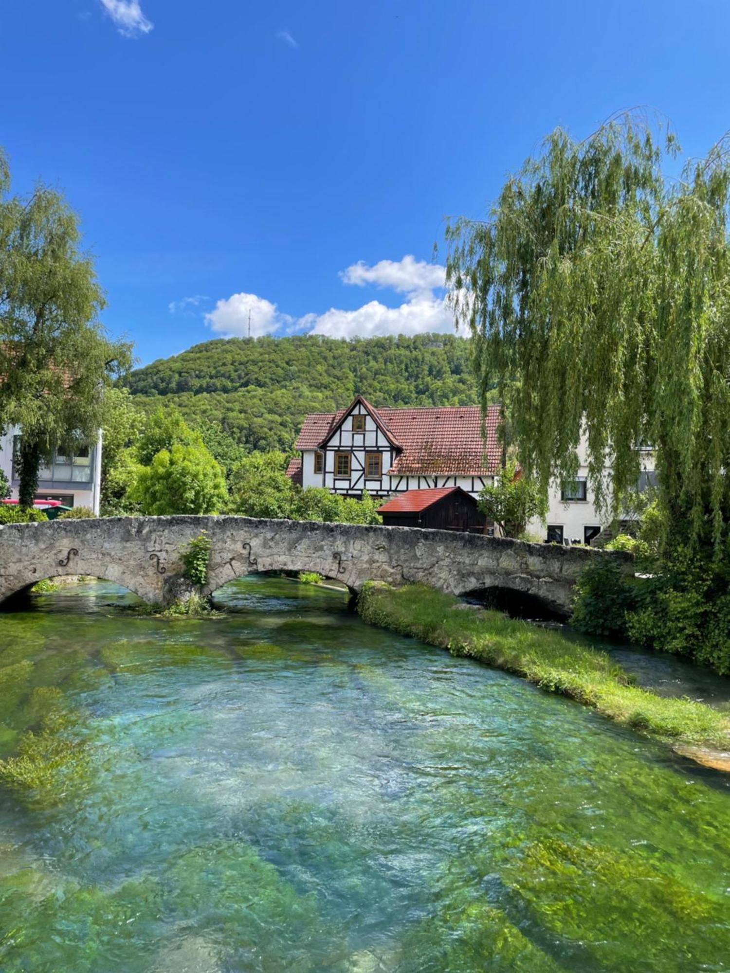 Blickfang Lichtenstein Экстерьер фото